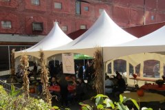 IMG_2070-cropped